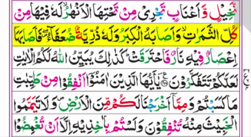 Best Online Quran Academy